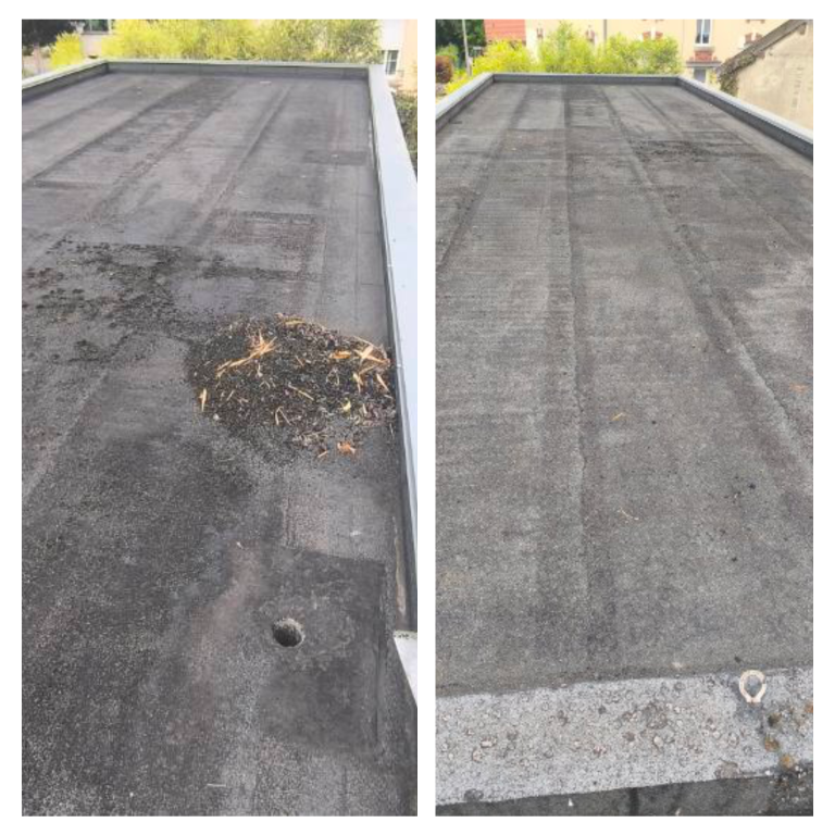 Entretien Toiture Plate - LS Habitation - Prosnes